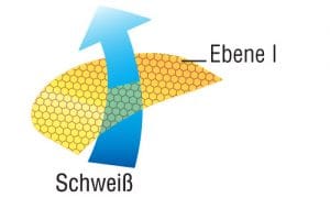 Funktionsebene 1: Ein blauer Pfeil ragt von unten nach oben durch eine gelbe Waben-Membran
