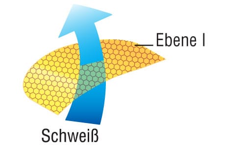 Funktionsebene 1: Ein blauer Pfeil ragt von unten nach oben durch eine gelbe Waben-Membran